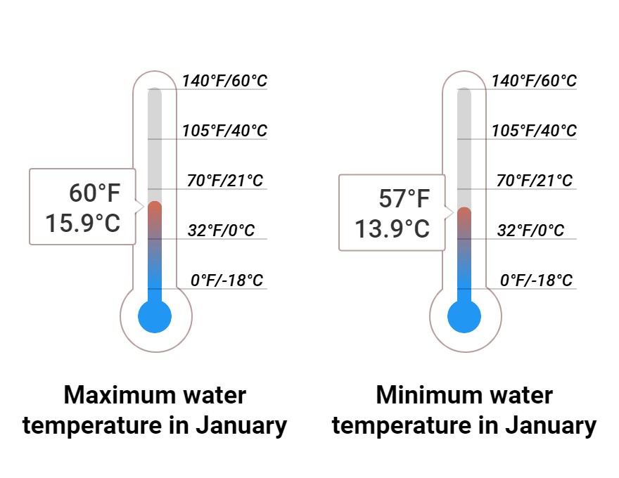 Average Sea temperature